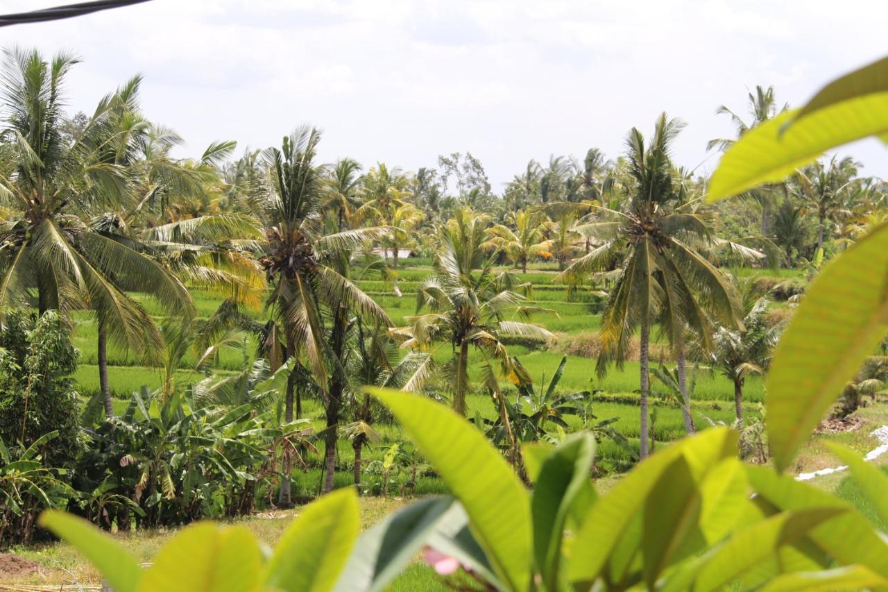 Bungsil Gading Casa de hóspedes Ubud
